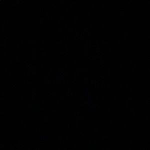 Meet your Posher, Tony